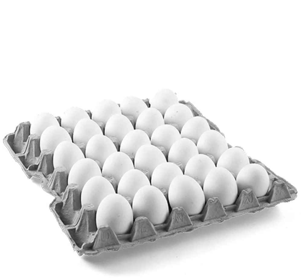 White Shell Eggs (Import)
