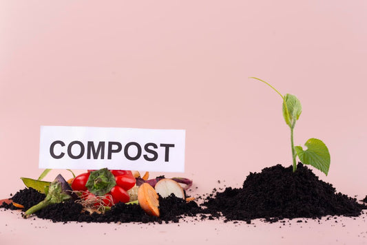 Why and How to Start Composting