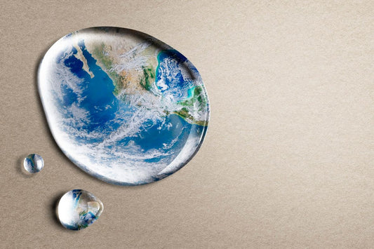 Food Waste's Role in Global Warming