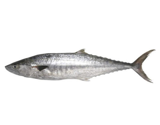 King Fish Whole (Frozen)