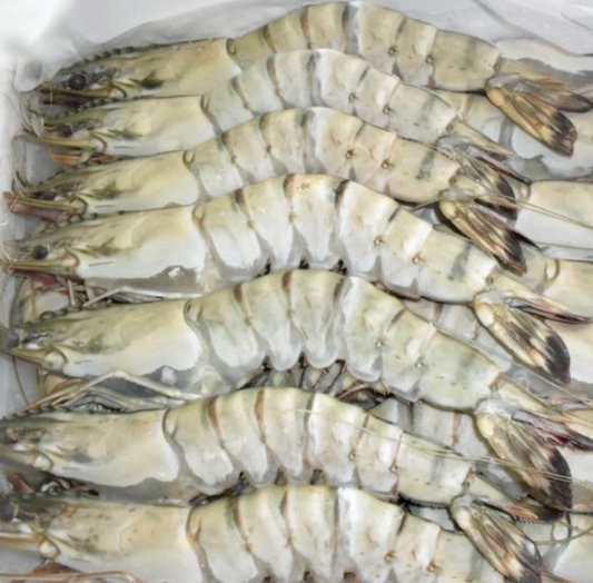 Shrimp tiger black (Frozen)